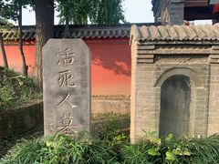 -活死人墓