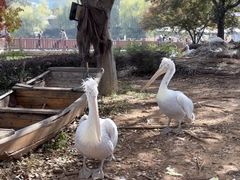 -无锡动物园·太湖欢乐园
