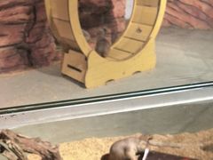 -正佳雨林生态植物园