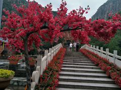 -如意农家院(胡关路店)