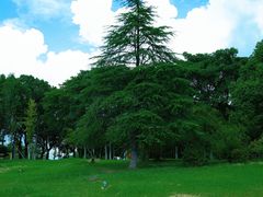 -白塘生态植物园