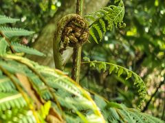 -赤水丹霞旅游区·佛光岩