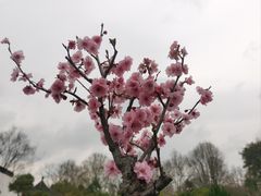 -茅家埠