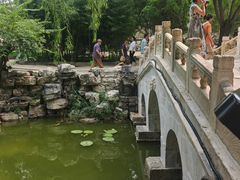 -莲池书院博物馆