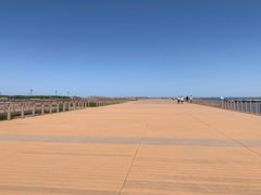 -东疆建设开发纪念公园