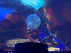 -上海海昌海洋公园-停车场