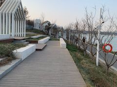 -灞河西岸滨河公园