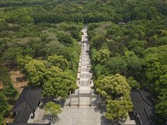 -宜兴龙背山森林公园