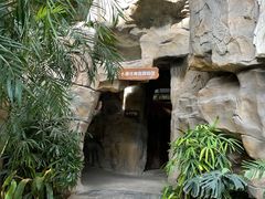 -南宫五洲植物乐园