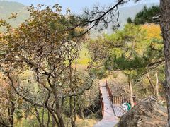 -北京十三陵国家森林公园蟒山景区