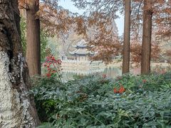 -习家池