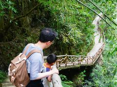 -鹿院坪生态旅游景区