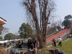 -桃园农庄·桃源宴