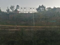 -长虫山生态公园风景林