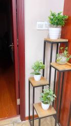 -玛尼瑜伽·普拉提