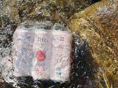 -武汉姚家山旅游景区