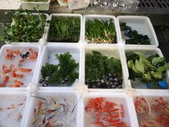 -青石桥花鸟鱼虫市场(叠翠城店)