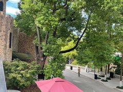 -J Create城市露营咖啡·简餐·宠物(上海动物园店)