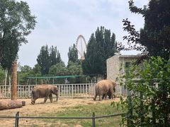 -石家庄市动物园