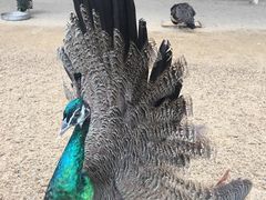 -韶关经律论国际酒店温泉