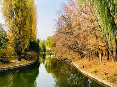 -钓鱼台国宾馆