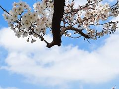 -上海山野camping·户外天幕烧烤·团建拓展营地