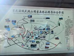 -武陵山森林公园