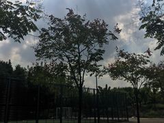-东华大学(松江校区)