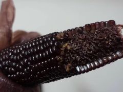 -潮汕良记牛肉火锅(洪武路店)