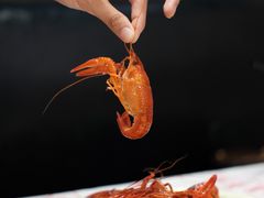 -靓靓蒸虾·头牌蒸虾(南山桂庙店)