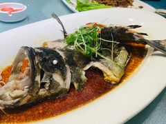 清蒸红斑鱼-恒记饭店·海鲜明档(淹城店)