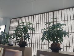 -长风拨筋养身(金虹桥店)