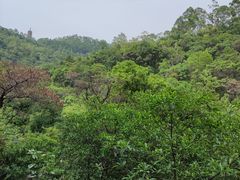 -大雁山风景区