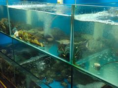 水产区-名超海鲜烧烤大排档