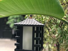 -浮何烤铺(桐梓林店)