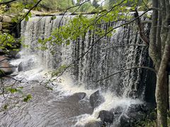 -汤旺河林海奇石景区