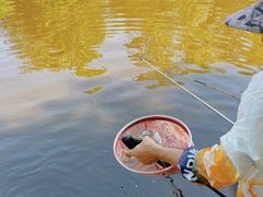 -酷鱼垂钓CLUB(朝阳区博大路店 )