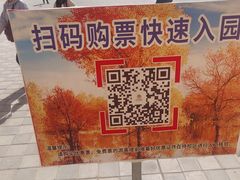 -金塔沙漠胡杨林景区
