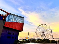 -大阪海游馆