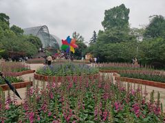 -南山植物园