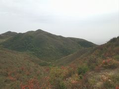 -广东天露山旅游度假区
