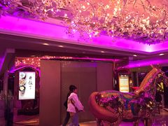 -纯K(打浦桥店)