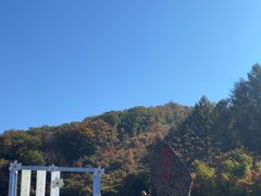 -天女山森林公园