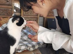 -喵屿·大理花园猫咖