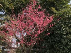-莲生母婴月子中心(清水河公园店)