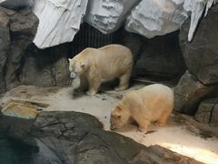 -海合安武汉极地海洋公园