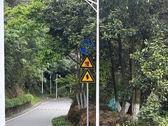-火炉山森林公园