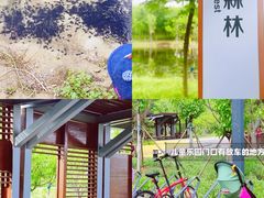 -东郊湿地公园