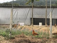 -天强农家菜馆
