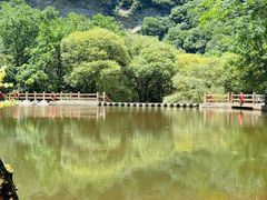 -少华山国家森林公园
